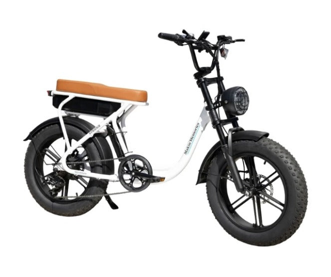 The Strider Fat Tyre E-Bike