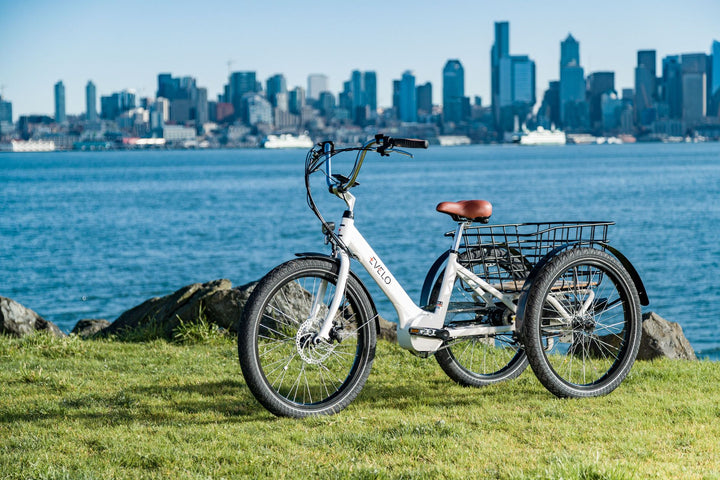 Three wheels, one balance problem solved: who an electric fat tyre trike actually suits