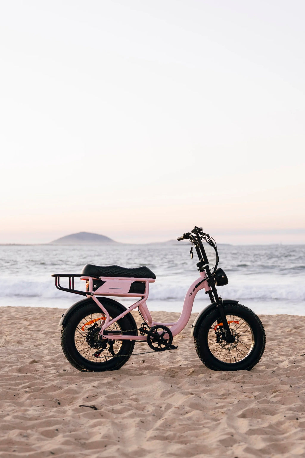 The Strider on the beach