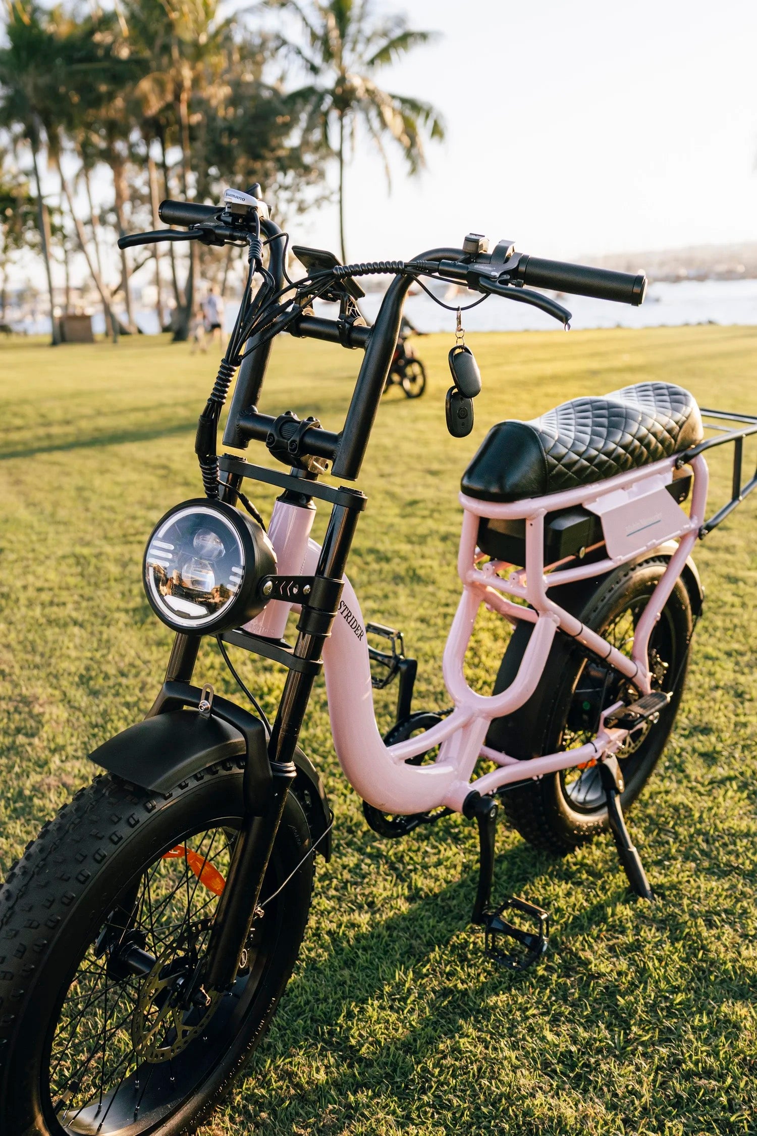The Strider Fat Tyre E-Bike
