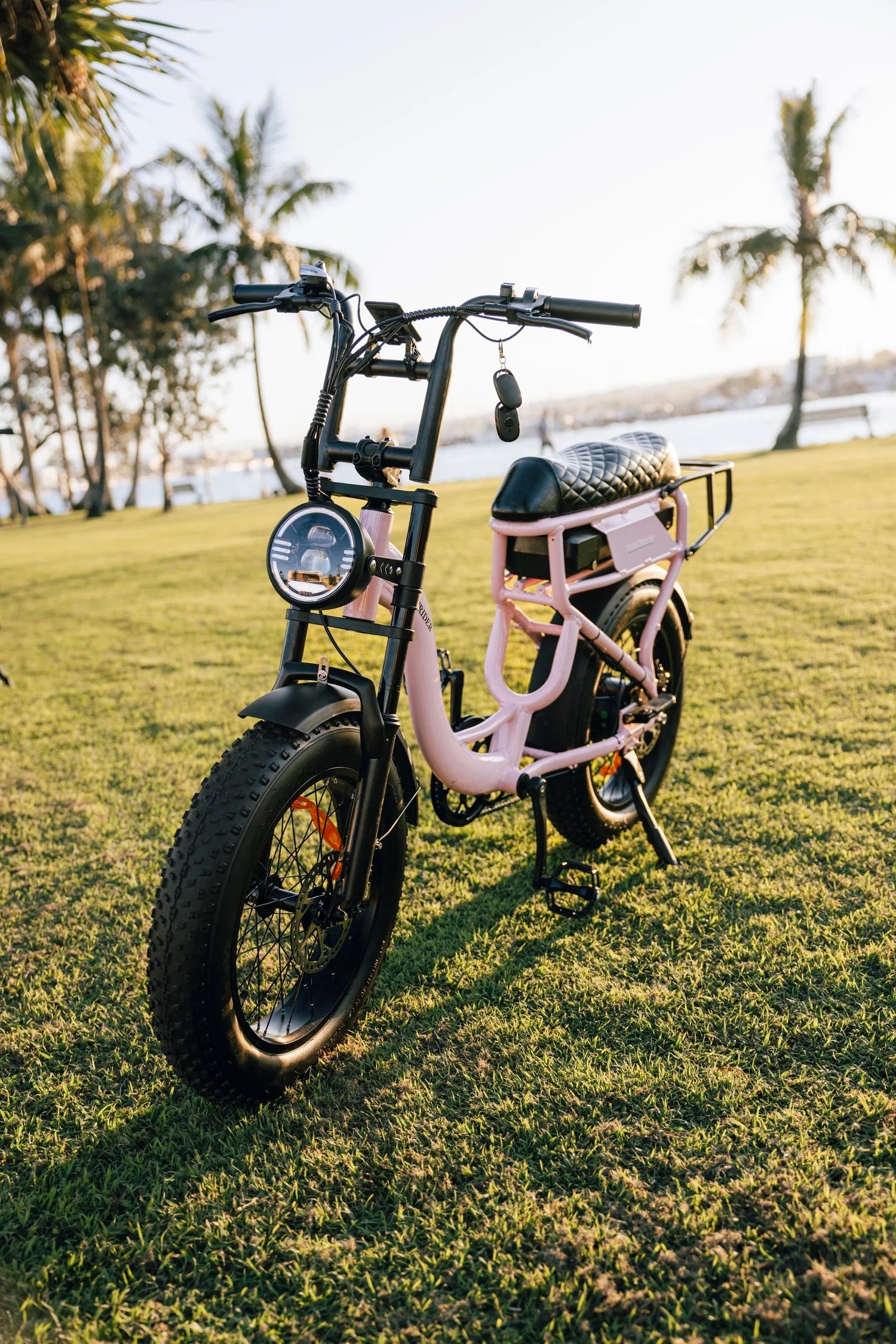 The Strider step-through fat tyre e-bike